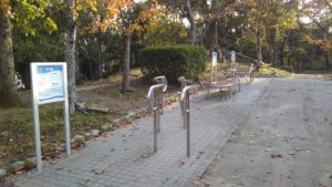 さくら公園 こども動物園 健康器具